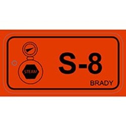 Image of Brady 138763
