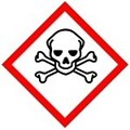 Image of 811722 - GHS Symbol - Acute Toxicity